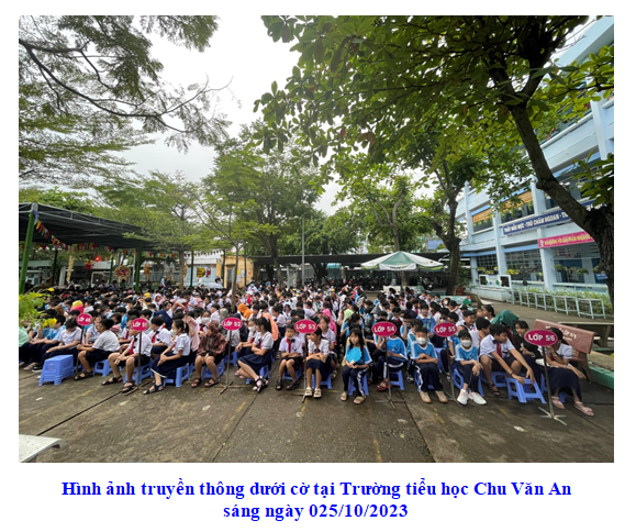 ảnh 24